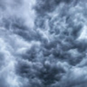 Meet your Posher, Callie